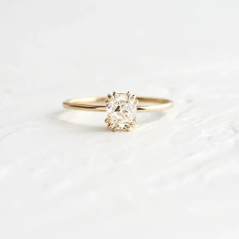 48058340409689|48058340442457|48058340475225